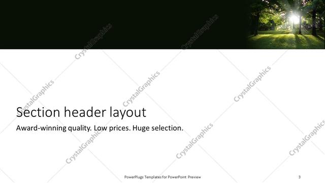 Section Header presentation slide layout