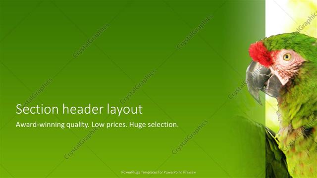 Section Header presentation slide layout