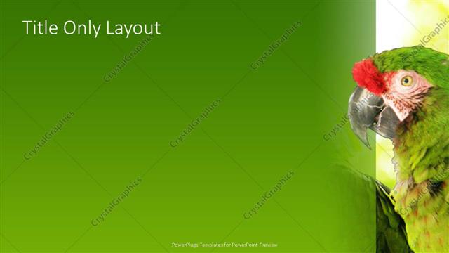 Title Only presentation slide layout