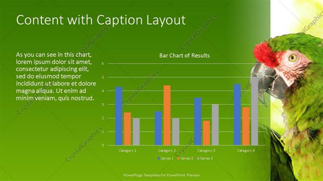 Content with Caption presentation slide layout