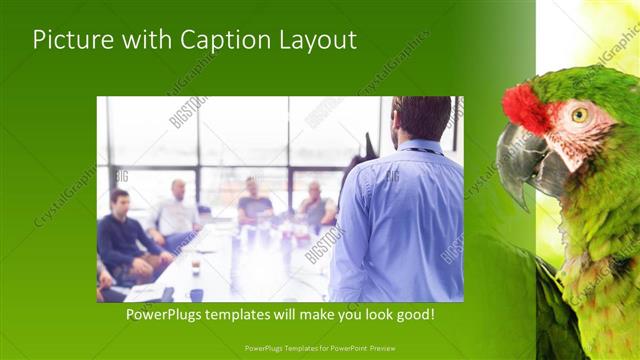 Picture with Caption presentation slide layout