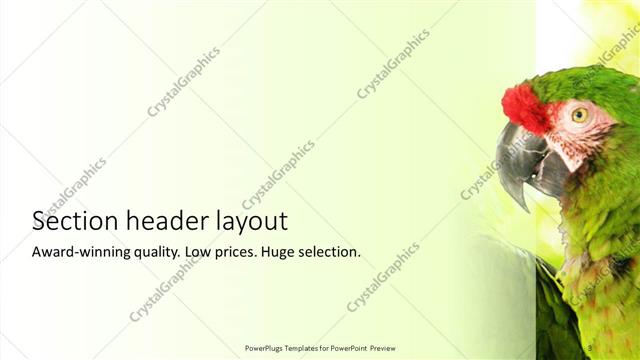 Section Header presentation slide layout