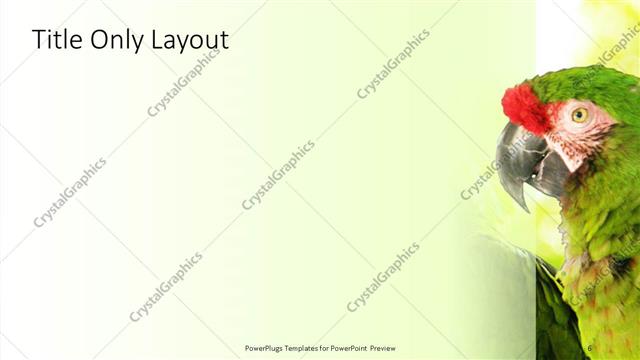 Title Only presentation slide layout