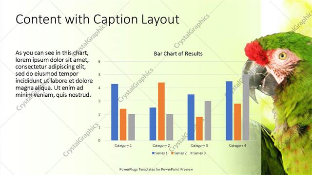 Content with Caption presentation slide layout