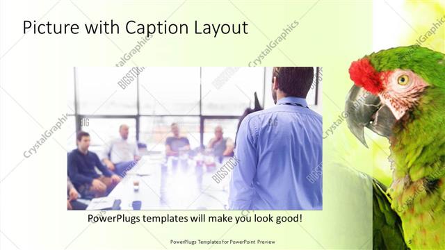 Picture with Caption presentation slide layout