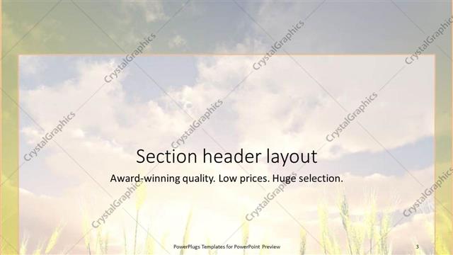 Section Header presentation slide layout