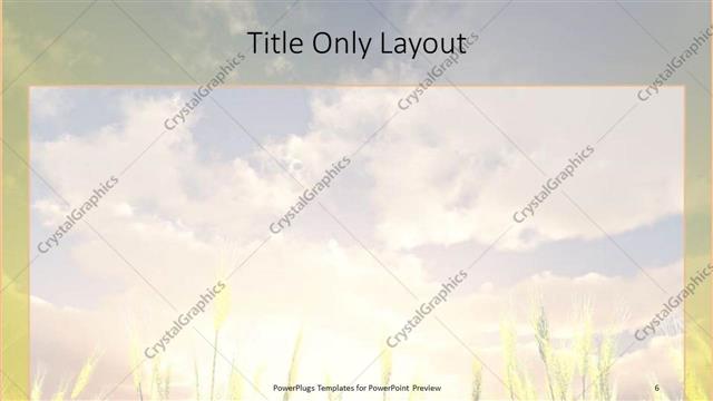 Title Only presentation slide layout