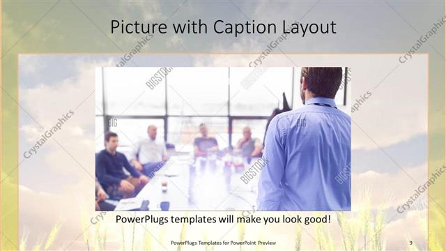 Picture with Caption presentation slide layout