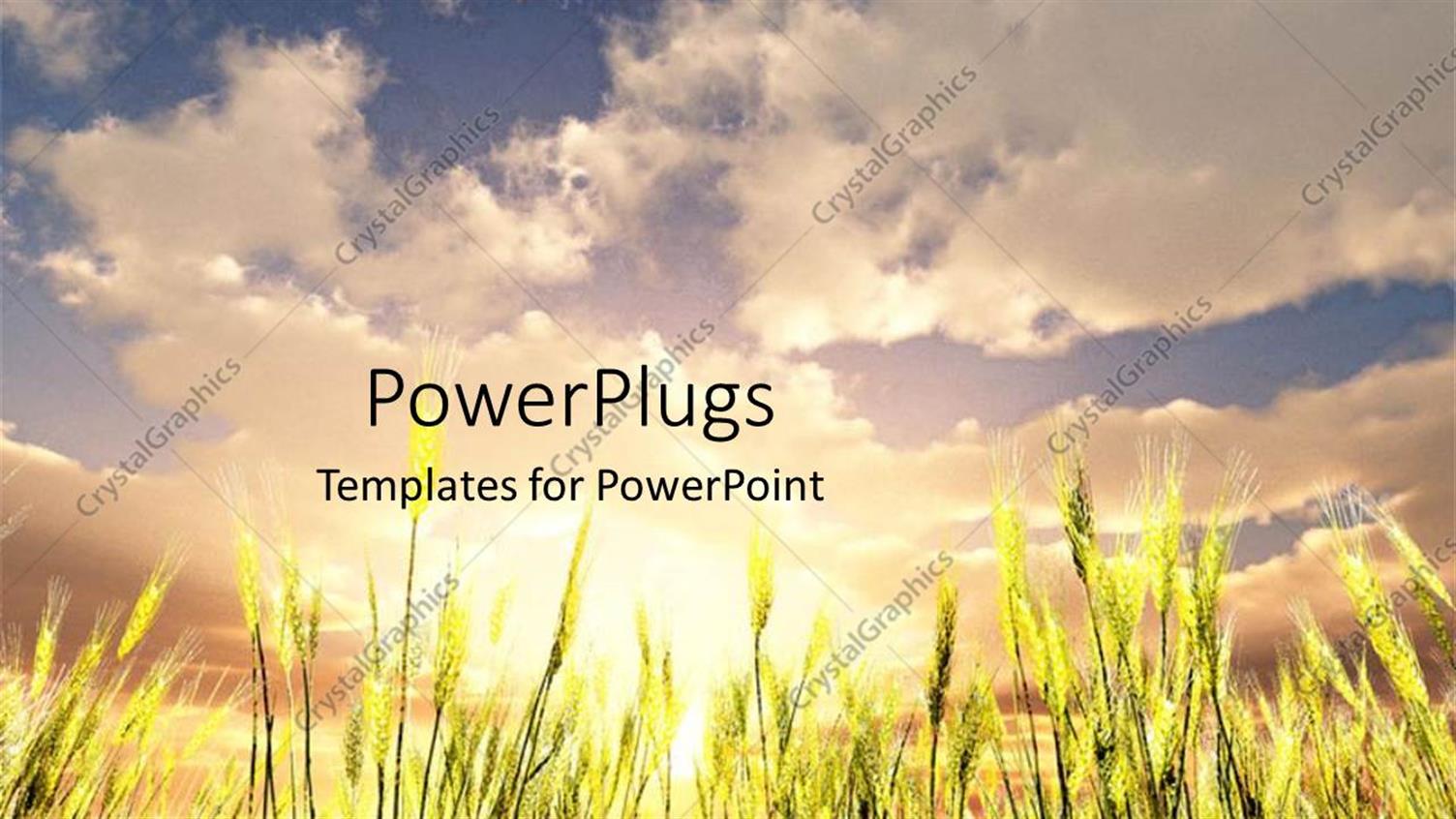Premium Template for PowerPoint & Google Slides 