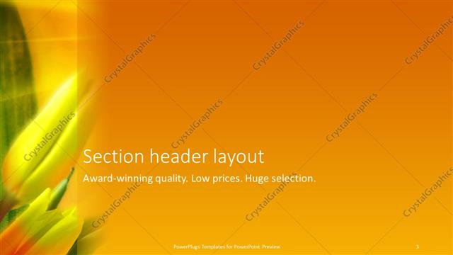 Section Header presentation slide layout