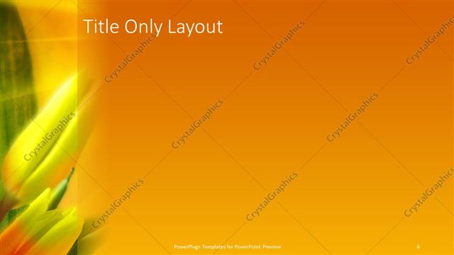 Title Only presentation slide layout