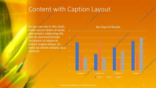 Content with Caption presentation slide layout