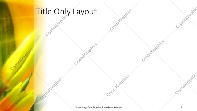 Title Only presentation slide layout