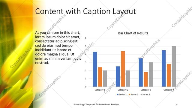 Content with Caption presentation slide layout