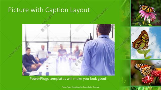 Picture with Caption presentation slide layout