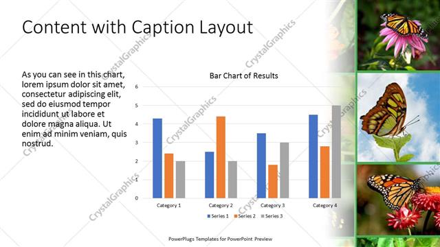 Content with Caption presentation slide layout