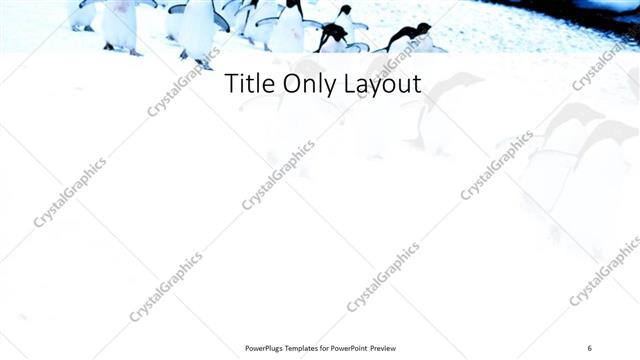 Title Only presentation slide layout