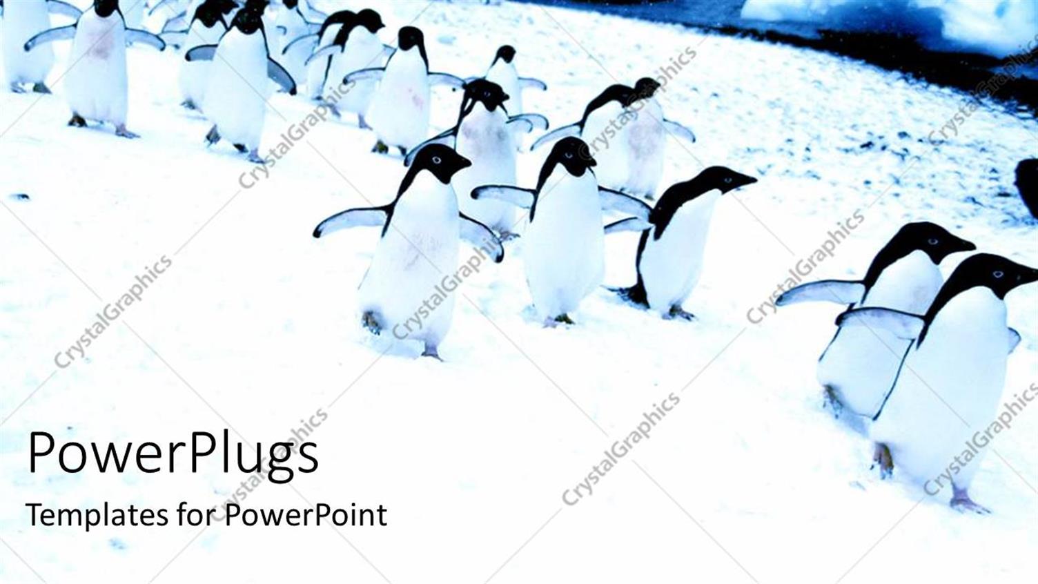 Premium Template for PowerPoint & Google Slides 