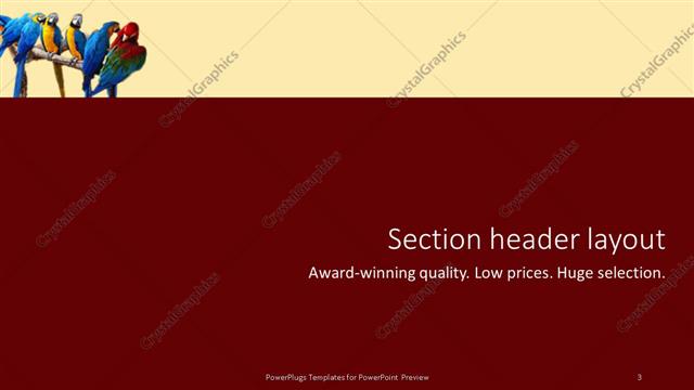 Section Header presentation slide layout