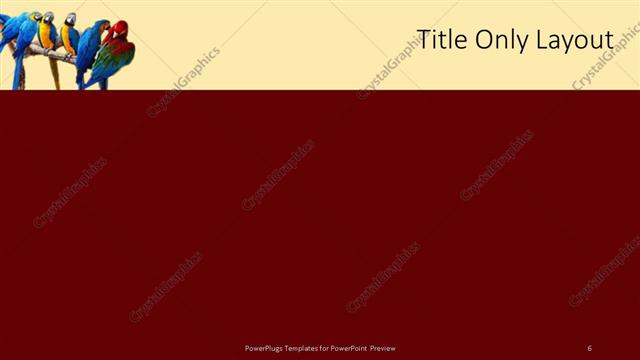 Title Only presentation slide layout