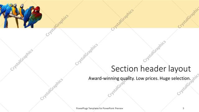 Section Header presentation slide layout