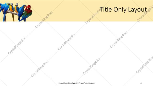 Title Only presentation slide layout