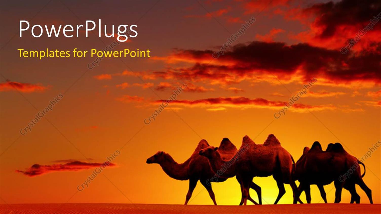 Premium Template for PowerPoint & Google Slides 