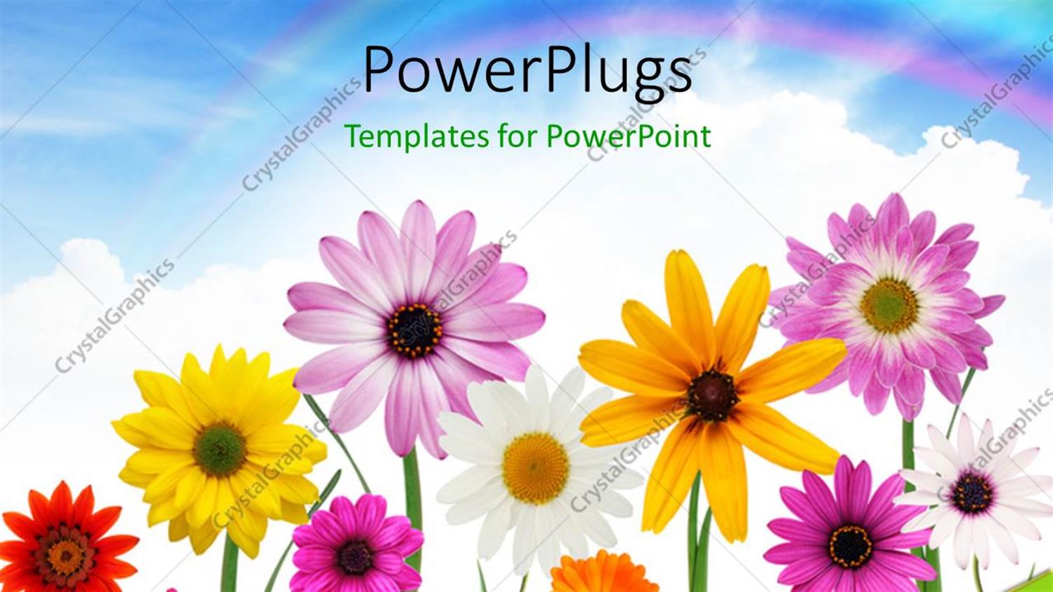 Premium Template for PowerPoint & Google Slides 