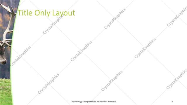 Title Only presentation slide layout