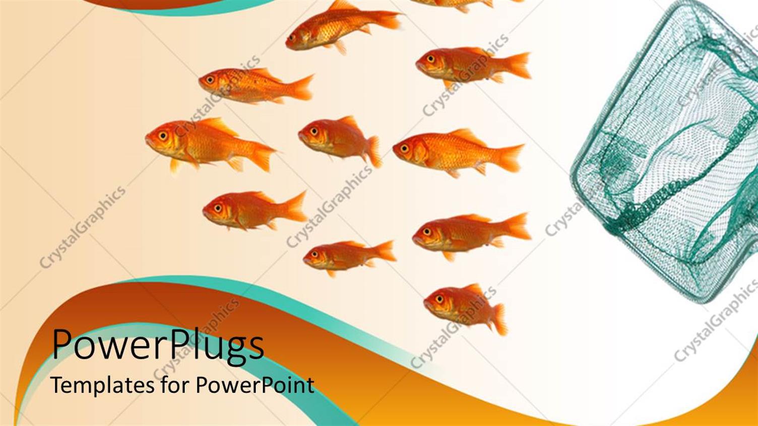 Premium Template for PowerPoint & Google Slides 