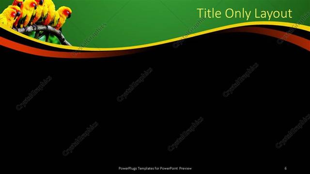 Title Only presentation slide layout