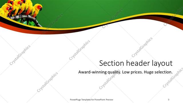 Section Header presentation slide layout
