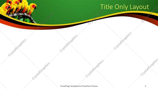 Title Only presentation slide layout