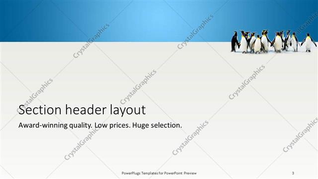 Section Header presentation slide layout