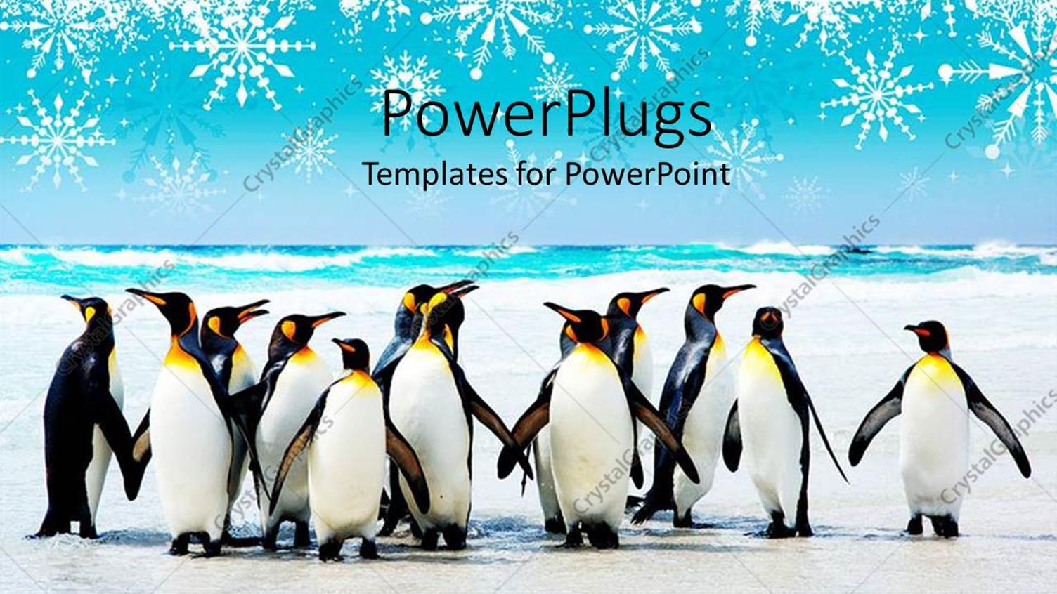 Premium Template for PowerPoint & Google Slides 