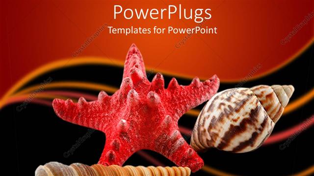  Presentation with sea animals - A group of sea animals together