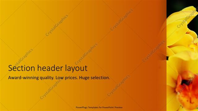 Section Header presentation slide layout