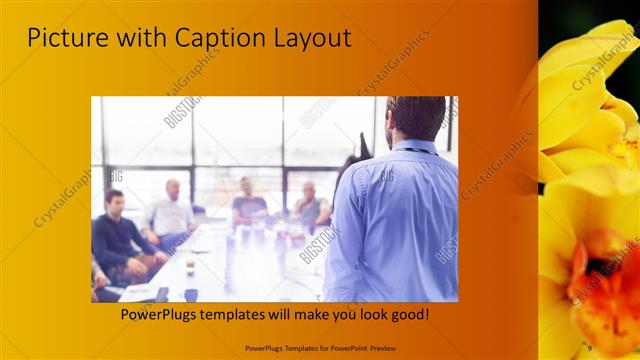 Picture with Caption presentation slide layout