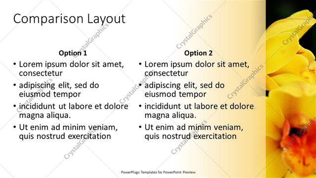Comparison presentation slide layout
