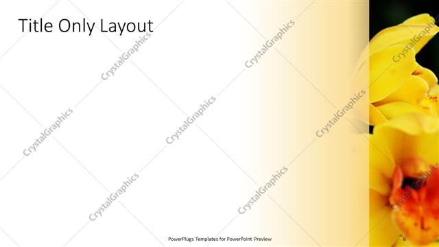 Title Only presentation slide layout