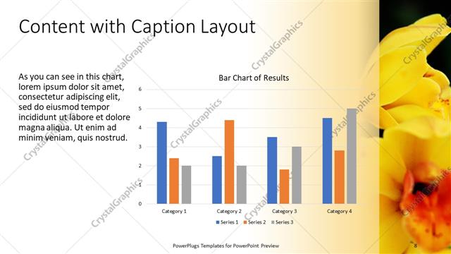 Content with Caption presentation slide layout