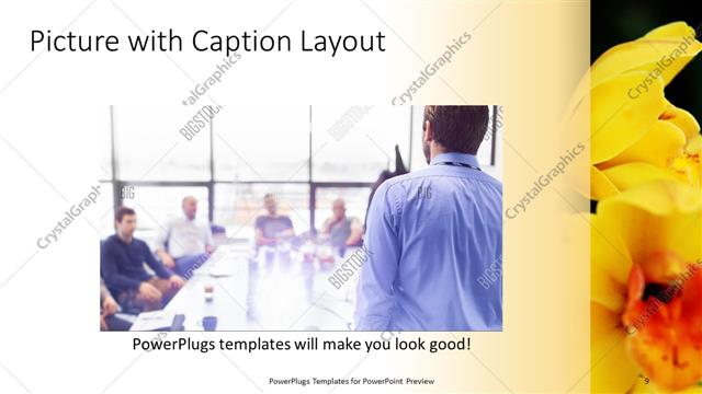 Picture with Caption presentation slide layout