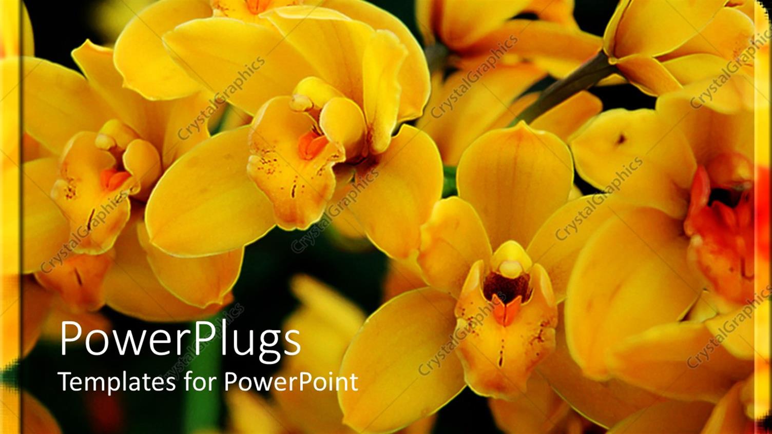 Premium Template for PowerPoint & Google Slides 