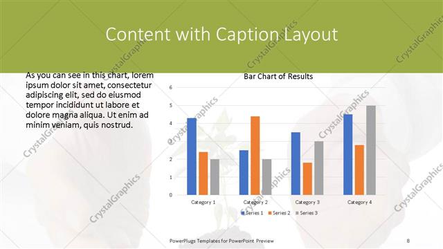 Content with Caption presentation slide layout