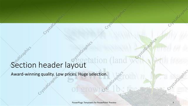 Section Header presentation slide layout