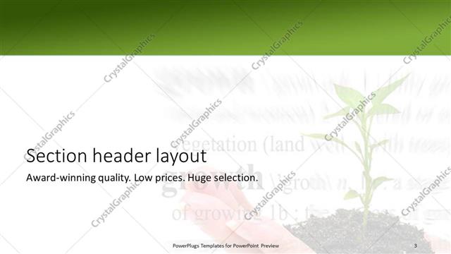 Section Header presentation slide layout