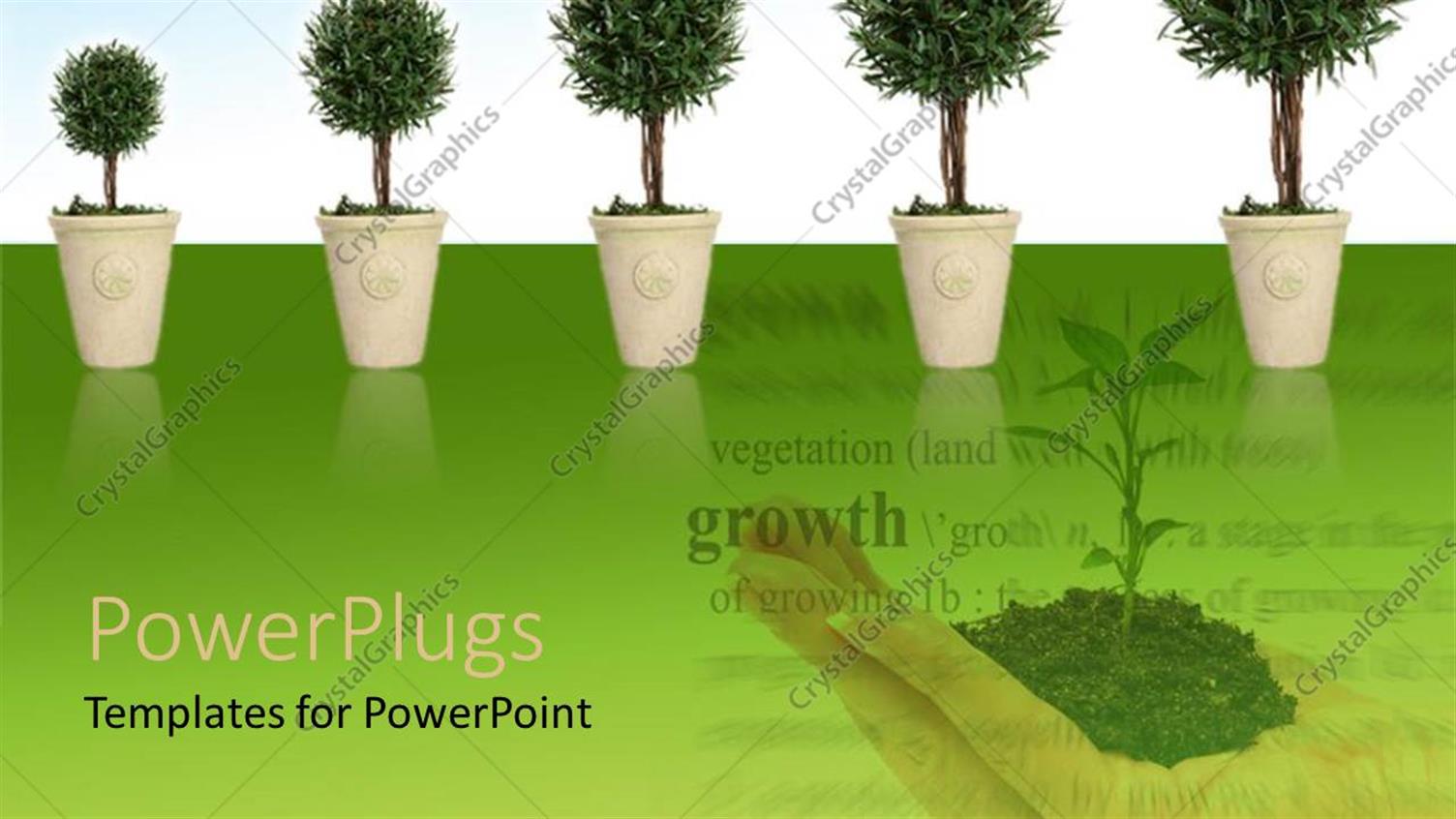 Premium Template for PowerPoint & Google Slides 