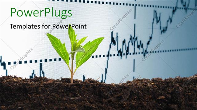  Presentation with economy - A graph with a green plant in front