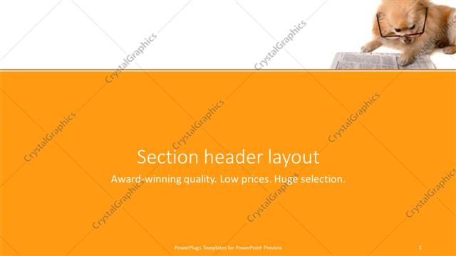 Section Header presentation slide layout