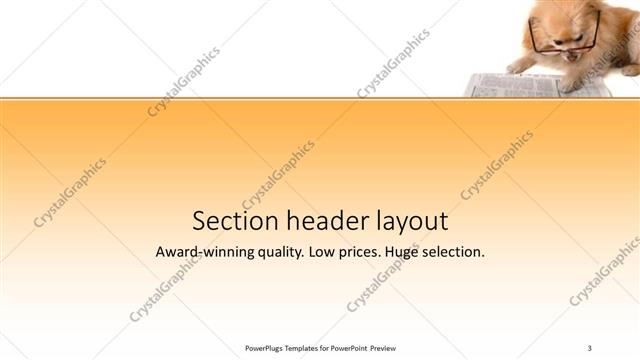 Section Header presentation slide layout